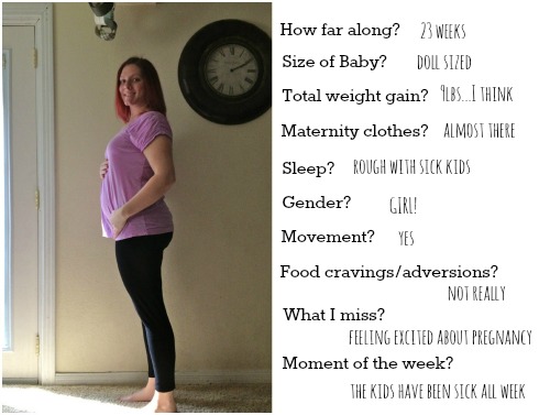 23wks