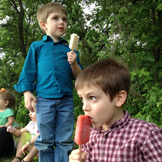 Frozen Fruit Bars 3