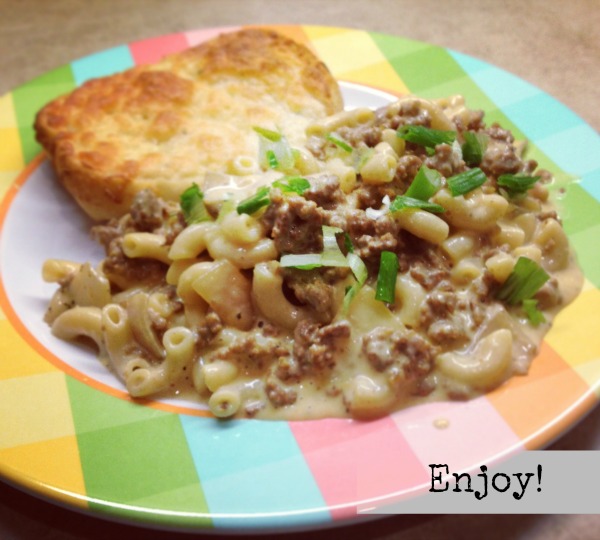 homemade hamburger helper 2